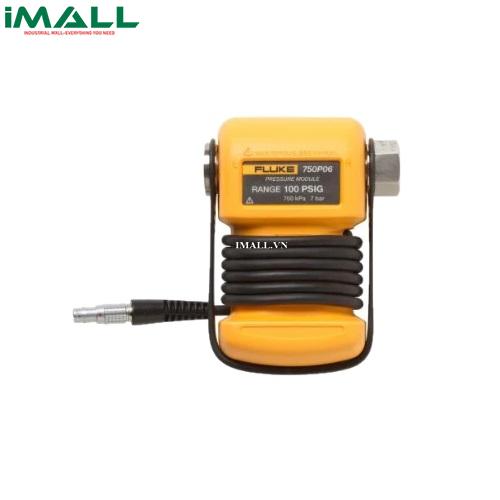 Mô-đun đo áp suất FLUKE 750P24