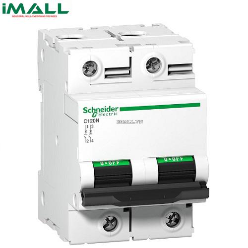MCB Schneider A9N18362 (100A 10kA 2P)