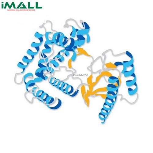 Hóa chất Cholesterol, Highly Purifie (C₂₇H₄₆O, chai thủy tinh 5 gm)  Merck 228111-5GM US1228111-5GM