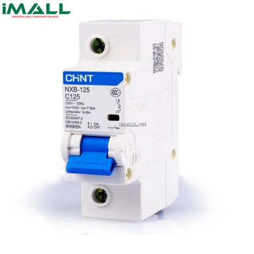 MCB Chint NXB-125 100A 10KA 1P