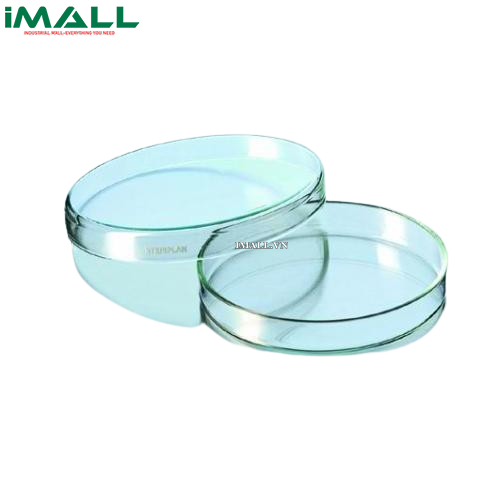 Đĩa petri thủy tinh 120x20mm Duran 217555106