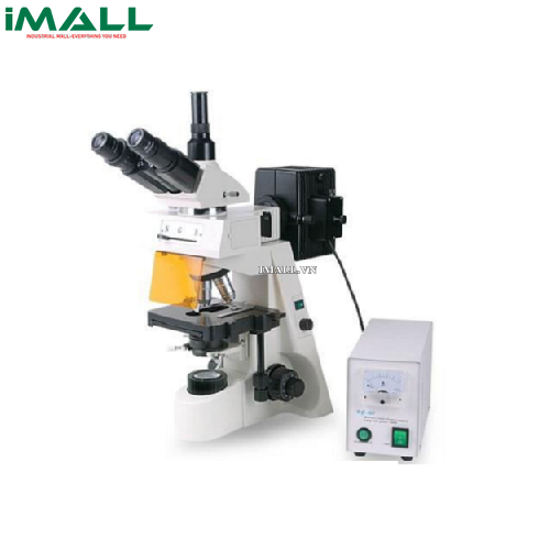Kính hiển vi huỳnh quang (4X-100X) HINOTEK XYL-146YT