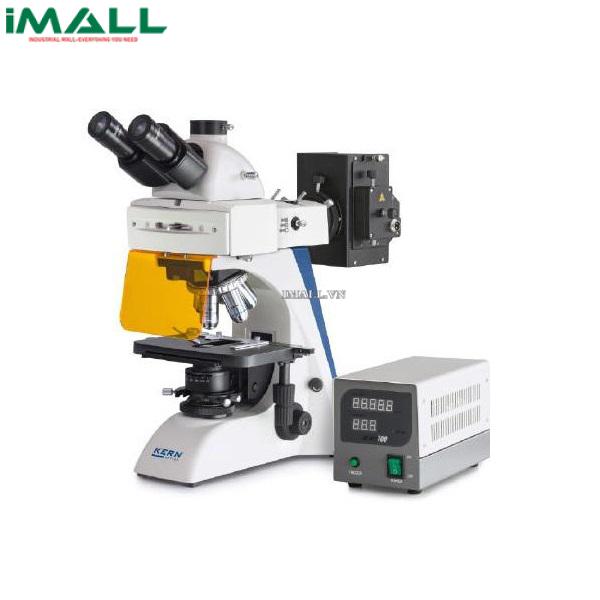 Kính hiển vi quang học Kern OBN 147 (4x/10x/20x/40x/100x)