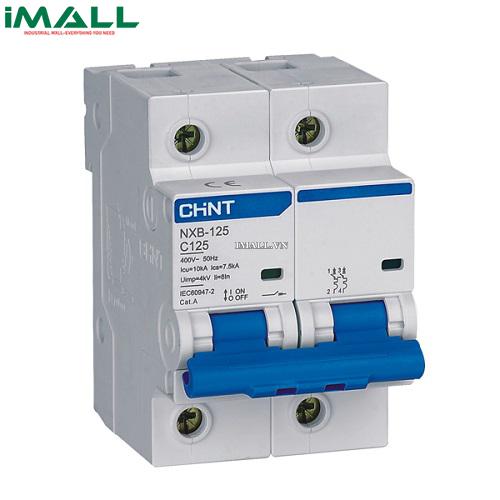 MCB Chint NXB-125 100A 10KA 2P