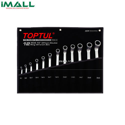 Bộ Cờ lê 2 đầu vòng 75 độ 12 món (AAEI: 6x7~30x32mm) TOPTUL GPAI1202