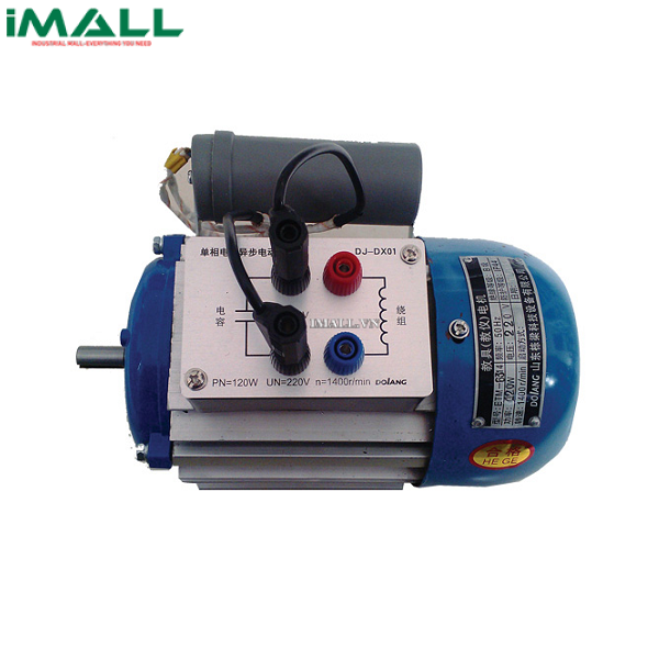 Động cơ cảm ứng lệch pha điện dung một pha DOLANG DLDJ-ETM10