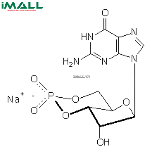 Hóa chất Guanosine 3ʹ,5ʹ-cyclic Monophosphate, Sodium Salt (C₁₀H₁₁N₅O₇P · Na, ống nhựa 50 mg) Merck 370656-50MG US1370656-50MG