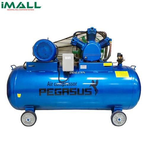 Máy nén khí PEGASUS TM-W-1.0/8-500L