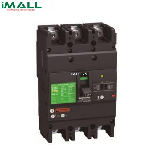 Cầu dao chống dòng rò ELCB Schneider EZCV250N4063 (63A, 0.1~1A, 4P)