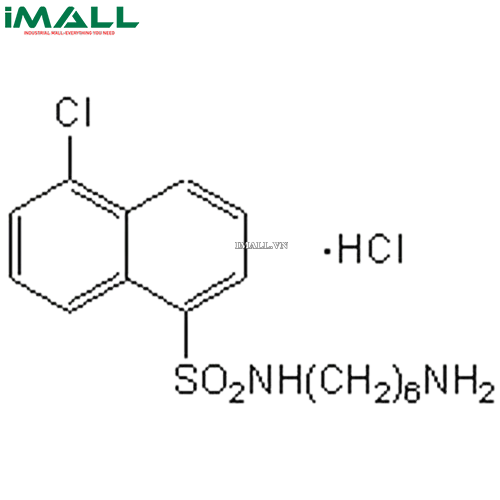 Hóa chất W-7, Hydrochloride (C₁₆H₂₁ClN₂O₂S · HCl, ống nhựa 10mg) Merck 681629-10MG US1681629-10MG