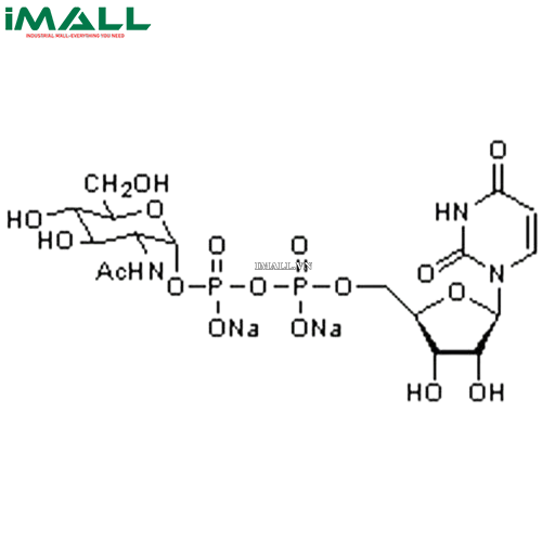 Hóa chất UDP-α-D-N-Acetylglucosamine, Disodium Salt (C₁₇H₂₅N₃O₁₇P₂ · 2Na, ống nhựa 50mg) Merck 670107-50MG US1670107-50MG