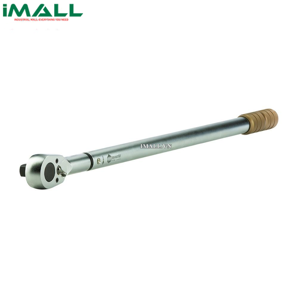Cờ lê đặt lực Mountz IPT 369 (280047) (100 - 500 N.m)