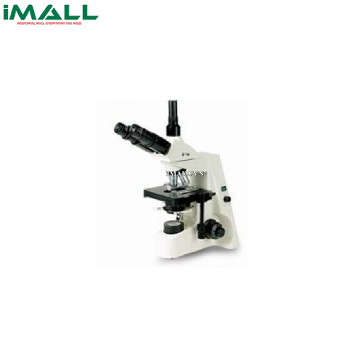 Kính hiển vi sinh học (4X-100X) HINOTEK XSZ-146T