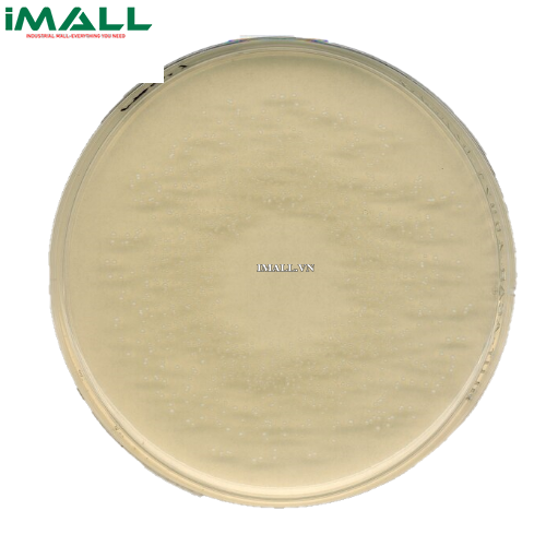 Hóa chất Rogosa agar lactobacillus selective agar cho vi sinh (Chai nhựa 500 g) Merck 1054130500