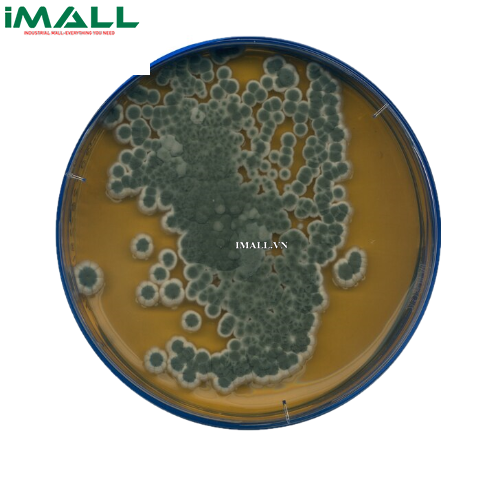 Hóa chất Malt extract agar GranuCult (Chai nhựa 500 g) Merck 1053980500
