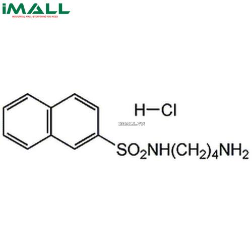 Hóa chất W-12, Hydrochloride (C₁₄H₁₈N₂O₂S · HCl, ống nhựa1 mg) Merck 681635-1MG US1681635-1MG