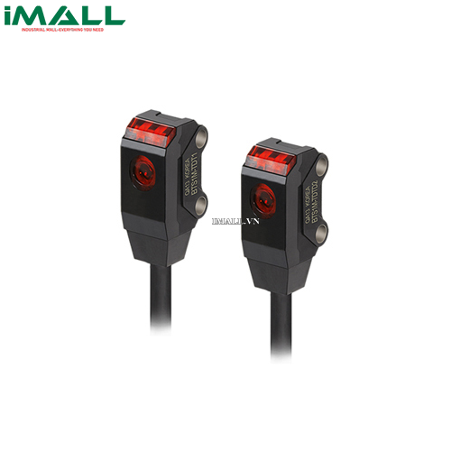 Cảm biến quang Autonics BTS1M-TDTD-P (thu phát)
