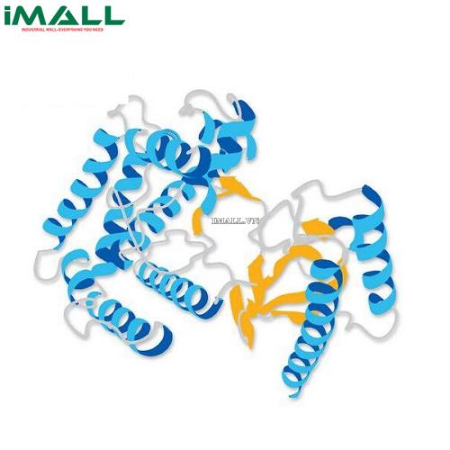 Hóa chất Aprotinin, Bovine, Recombinant, Nicotiana sp., Animal-Free (C₂₈₄H₄₃₂N₈₄O₇₉S₇, ống nhựa 1mg) Merck 616371-1MG US1616371-1MG