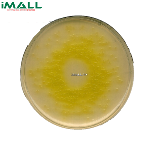 Hóa chất Cetrimide agar pseudomonas selective aga  (Chai nhựa 500 g) Merck 1052840500