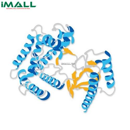 Hóa chất Coenzyme A, Trilithium Salt (C₂₁H₃₃N₇O₁₆P₃S · 3Li, ống nhựa 100mg) Merck 234101-100MG US1234101-100MG