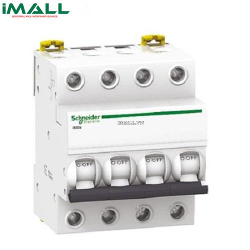 MCB Schneider A9K24463 (63A 6kA 4P)