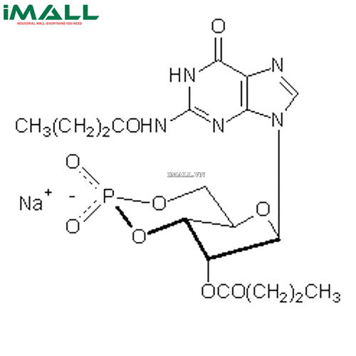 Hóa chất Guanosine 3ʹ,5ʹ-cyclic Monophosphate, N²,2ʹ-O-Dibutyryl-, Sodium Salt (C₁₈H₂₃N₅O₉P · Na, ống nhựa 10 mg) Merck 370660-10MG US1370660-10MG