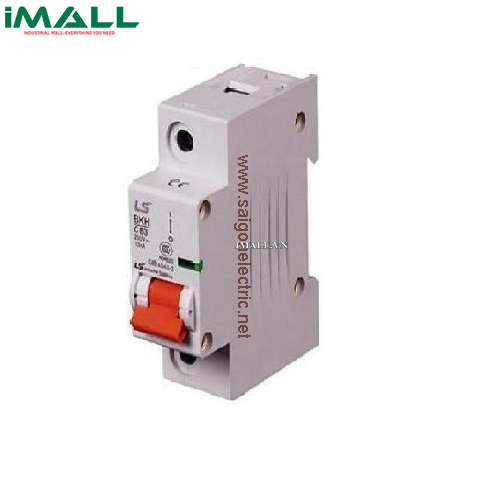 MCB 1P LS BKH-1P 125A (10kA)