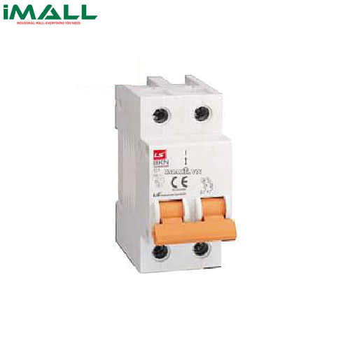 MCB 2P LS BKN-2P 16A (6kA)