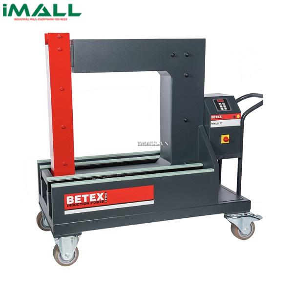 Máy gia nhiệt bánh răng, vòng bi Betex BLF 208 (đường kính tới OD 1700mm)