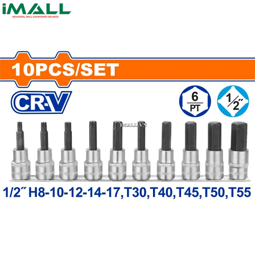 Bộ 12 đầu tuýp1/4" ra đầu vít lụ giác, sao Wadfow WST2414