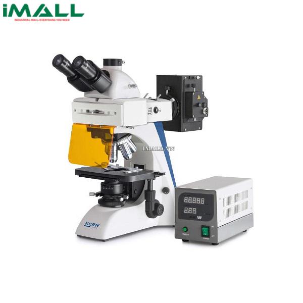 Kính hiển vi ánh sáng truyền qua KERN OBN 141 (Ba mắt, 4x/10x/20x/40x/100x)