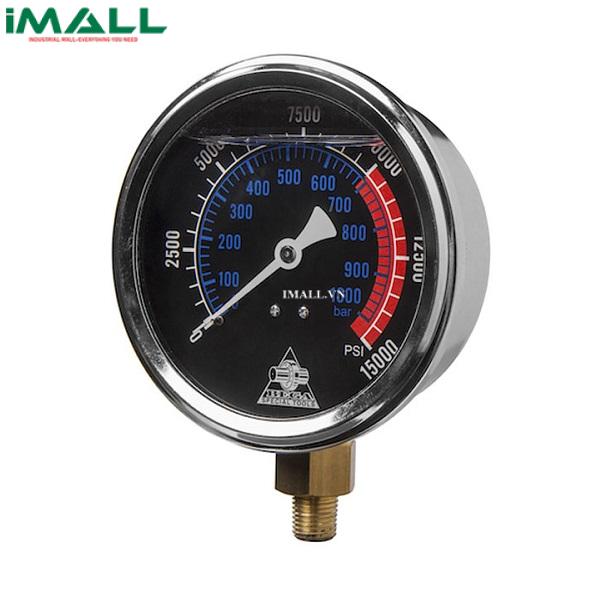Đồng hồ áp suất BETEX M0040