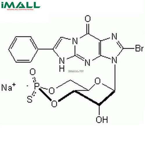 Hóa chất Guanosine 3ʹ,5ʹ-cyclic Monophosphorothioate, β-Phenyl-1,N²-etheno-8-bromo-, Rp-Isomer, Sodium Salt (C₁₈H₁₄BrN₅O₆PS · Na, ống nhựa 1 umol) Merck 370679-1UMOL US1370679-1UMOL