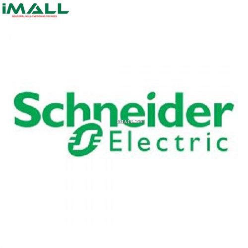 Module đếm và đo lường 2 kênh Schneider TSXCTY2C