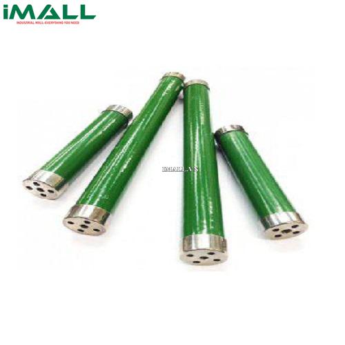 Điện trở điện áp cao Genvolt RES100 (200W)