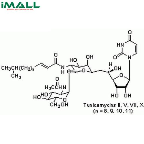 Hóa chất Tunicamycin, Streptomyces lysosuperficus (C₃₉H₆₄N₄O₁₆, chai thủy tinh 10mg) Merck 654380-10MG US1654380-10MG