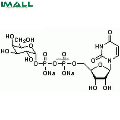 Hóa chất UDP-α-D-Galactose, Disodium Salt (C₁₅H₂₂N₂O₁₇P₂ · 2Na, ống nhựa 10 mg) Merck 670111-10MG US1670111-10MG