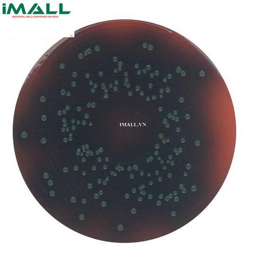 Hóa chất PALCAM LISTERIA Selective AGAR (Base) AC  (Chai nhựa 500g) Merck 1117550500