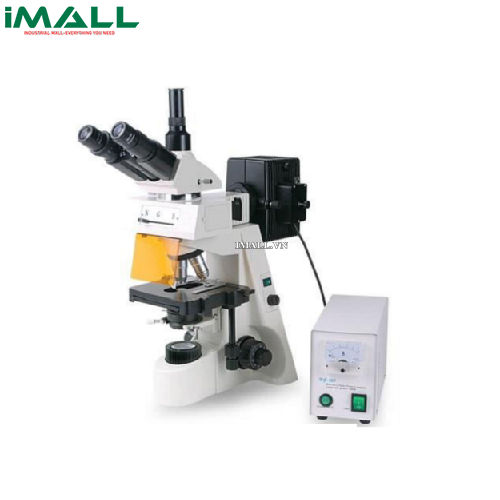 Kính hiển vi huỳnh quang (4X-100X) HINOTEK XYL-146YAT